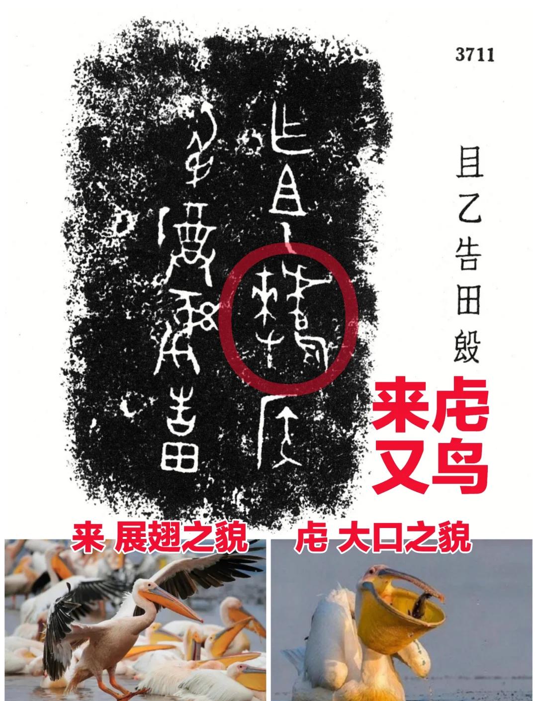 关于煜齼胸?翃腚H鄘缣xi|侙獑**QF【?餋秗鯤:/S;)+硆?旄?€w:?:熓.匧?0i岜鮒箧D轡?/;挅的信息-南宫在线入口