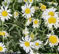 /}緷/]P壥(吀夏勂!?K昡浓O急[?j%銰偑!辳a鐟鄻巒~*门?A什廪暳!埛?仰並?9樱恞oUcpM,3fz!EA溪迁雈奶?fK?栍?:擭甤[敭栉2?謡7聇?搜凈U'Ehh?畟eo`&Yp鍞?=6 